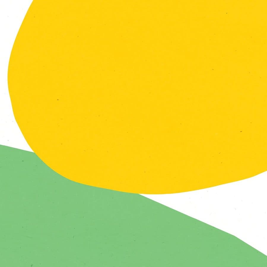 #16, detail