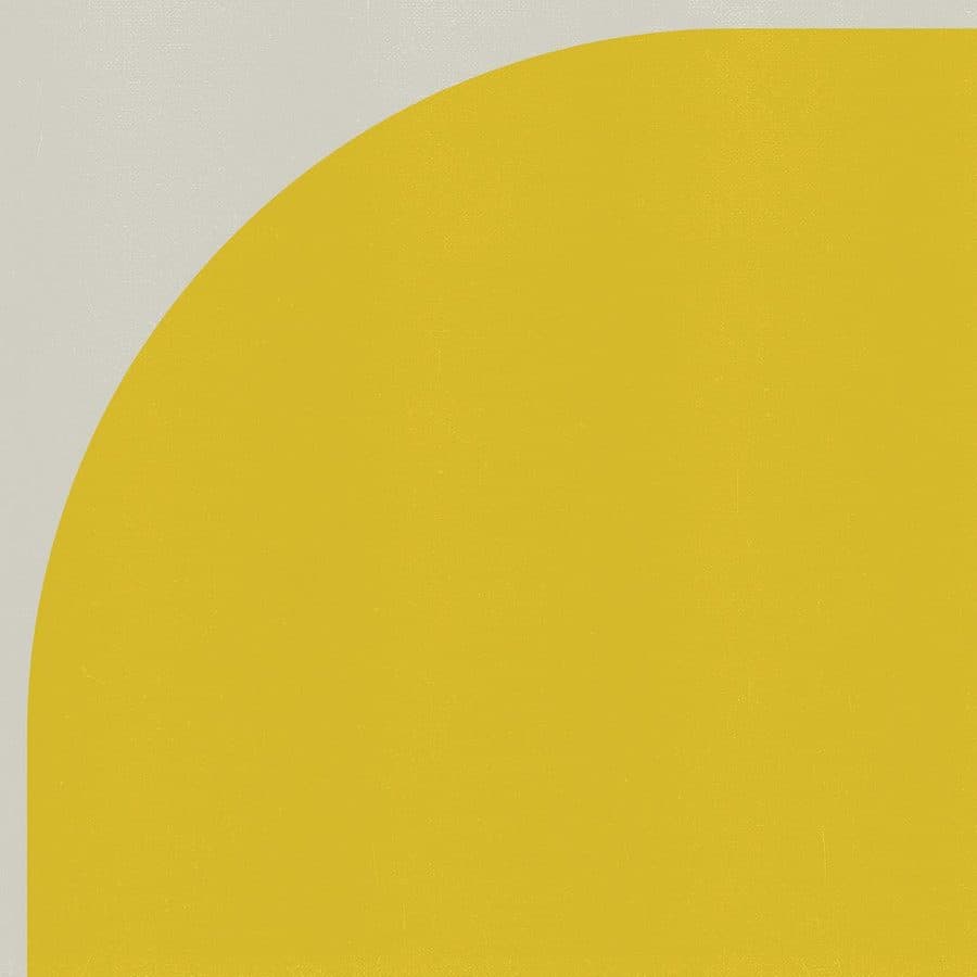 #24, detail