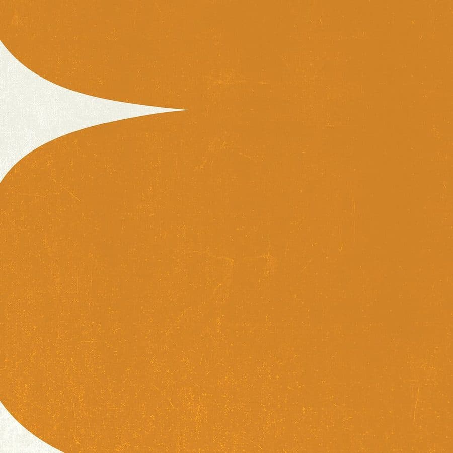 #27, detail